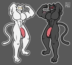 anthro body_hair domestic_cat duo epic_games felid feline felis fortnite ghost_meowscles humanoid male male/male male_only mammal meowscles_(fortnite) shadow_meowscles_(fortnite) supermattym8 video_games