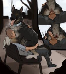 absurd_res ambiguous_gender anal anatomically_correct anatomically_correct_anus anthro anus balls bodily_fluids canid canine canis collar cum domestic_dog duo feral feral_penetrated furry gaping genital_fluids genitals german_shepherd herding_dog hi_res human human_on_feral human_penetrating human_penetrating_feral humanoid_genitalia interspecies looking_at_viewer male male/male male_on_feral mammal on_lap orgasm pastoral_dog penetration penis sepulte sex shaking sitting_on_lap sitting_on_penis tongue tongue_out uncensored zoophilia