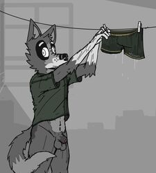 animal_genitalia anthro balls canid canine canis caught caught_off_guard clothed clothing domestic_dog genitals male mammal raised_clothing raised_shirt raised_topwear ricthecusco sheath shirt shy slim solo topwear