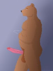 2021 5_fingers absurd_res aliasing anthro anthro_only ass balls belly big_penis biped black_nose blue_background brown_balls brown_bear brown_body brown_eyebrows brown_eyes brown_fur brown_pubes cel_shading digital_media_(artwork) erection eyebrows fingers fur genitals glans hi_res humanoid_genitalia humanoid_penis inner_ear_fluff itching long_penis looking_forward male mammal nipples nude onomatopoeia pecs penis pink_nipples pink_penis portrait red_glans retracted_foreskin rodin scratching shaded side_view simple_background solo sound_effects standing text three-quarter_portrait tuft ursid ursine vein veiny_penis walking white_text