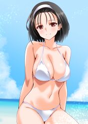beach big_breasts female female_only kazama_jun milf tekken tekken_8