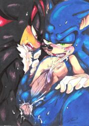 shadow the hedgehog from sega by soina