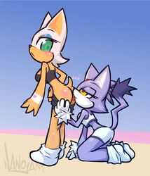 2girls amber_eyes anthro bat blaze_the_cat blue_eyes blush bra cunnilingus eye_contact feline female fur furry green_eyes heart licking looking_at_another nanojam oral oral_sex pants pants_down rouge_the_bat sega sex shorts socks sonic_(series) tail tongue vaginal_penetration yuri