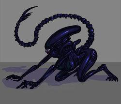female xenomorph from alien (franchise) by borisalien