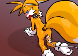 above_view all_fours anthro ass back_view canine fox fur male male_only mammal nanojam penis sega solo sonic_(series) tagme tail tails