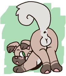 rockruff from pokemon