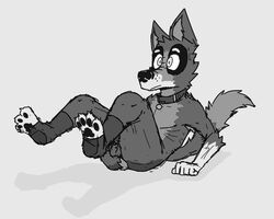 anthro armpit_hair balls body_hair canid canine canis clothing collar domestic_dog fluffy_ass footwear genitals male mammal pawpads paws ricthecusco sitting skinny socks solo solo_male