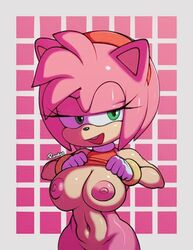 amy_rose big_breasts breasts clothing dress_lift female female_focus female_only flashing flashing_breasts furry green_eyes hedgehog nipples pink_fur pink_hair ruruduu sega sonic_(series) sonic_the_hedgehog_(series) wide_hips