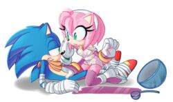 accidental_exposure amy_rose amy_rose_(boom) clothing furry pink_fur pink_hair small_breasts sonic_(series) sonic_boom sonic_the_hedgehog wet