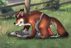 anthro bondage bound canid canine cum cumming_outside disney duo ejaculation female flat_chest fox gideon_grey hi_res interspecies judy_hopps knot lagomorph leporid lettuceoncat looking_pleasured male male/female mammal outside_sex penis rabbit testicles zootopia zootropolis