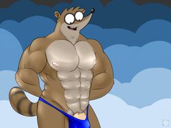 abs anthro bbulala blue_underwear furry gay large_penis male open_mouth penis raccoon regular_show rigby_(regular_show) solo striped_tail