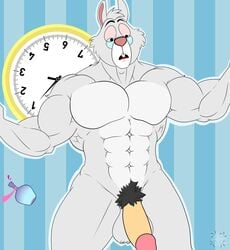 alice_in_wonderland alice_in_wonderland_(1951_film) anthro balls bbulala clock disney furry glasses large_penis muscular muscular_male open_mouth penis pubic_hair rabbit solo_male testicles white_fur white_rabbit_(disney)