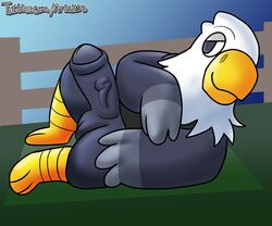 2020 3_toes absurd_res accipitrid accipitriform animal_crossing anthro apollo_(animal_crossing) avian bald_eagle balls big_balls big_penis bird black_clothing black_topwear black_vest blue_sky bottomless clothed clothing detailed_background digital_media_(artwork) eagle erection feather_hands feathers feet fence foreskin genitals grey_balls grey_body grey_feathers grey_penis half-closed_eyes head_tuft hi_res humanoid_genitalia humanoid_penis kiiro_endings leaning leaning_back looking_forward lying male male_focus male_only male_solo multicolored_body multicolored_feathers narrowed_eyes nintendo on_back outside penis presenting presenting_penis sea_eagle side_view signature sky smile solo solo_male toes topwear tuft two_tone_body two_tone_feathers video_games zipper