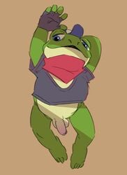 1boy anthro balls bandana bottomless clothed clothing fingerless_gloves flaccid flookz genitals gloves handwear kerchief male male_only nintendo penis slippy_toad solo star_fox toad video_games