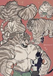 anthro bara barazoku beard belly big_muscles body_hair bulge chest_tuft clothing detailed_bulge digital_media_(artwork) duo facial_hair felid feral flaccid fur hair happy_trail hi_res huge_muscles huge_pecs hyper hyper_muscles japanese_text male male/male male_only mammal marototori muscular muscular_anthro muscular_male pantherine pec_smothering pecs simple_background size_difference stripes text tiger tuft underwear