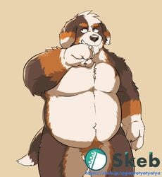 2021 anthro balls barely_visible_balls barely_visible_genitalia belly bernese_mountain_dog black_body black_nose brown_body canid canine canis censored domestic_dog genitals ginnosuke hi_res humanoid_hands kemono male male_only mammal molosser mountain_dog navel overweight overweight_male simple_background solo swiss_mountain_dog white_body