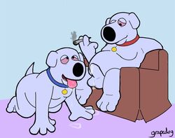 2021 20th_century_fox 3_toes 4_fingers after_oral all_fours anthro balls bird_dog black_nose blue_background blue_collar bodily_fluids brian_griffin brown_sofa canid canine canis collar collar_only couch_sex cum cum_drip cum_in_mouth cum_inside cum_on_balls cum_on_ground cum_on_penis domestic_dog dripping drugs duo family_guy feet fellatio fingers foreskin fur furniture genital_fluids genitals grapedog_(artist) humanoid_genitalia humanoid_penis hunting_dog labrador machine male male/male mammal marijuana moobs nude open_mouth oral overweight overweight_male penile penis precum precum_drip precum_in_mouth precum_on_floor purple_background raised_tail red_collar red_eyes retriever robot robot_brian sex signature simple_background smoke sofa toes tongue tongue_out white_balls white_body white_fur white_penis