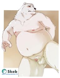 2021 anthro balls belly blush bodily_fluids censored donabe fur genital_fluids genitals hi_res humanoid_genitalia humanoid_hands humanoid_penis kemono male mammal moobs navel nipples overweight overweight_male penis precum solo ursid white_body white_fur