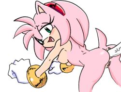 amy_rose anal anon pink_hair randomguy999 sonic_(series)