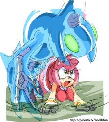 amy_rose anthro chaos_(sonic) chaos_4 pink_fur pink_hair small_breasts sonic_(series)