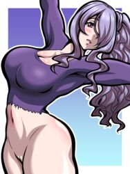 camilla (fire emblem) from fire emblem by inabakun00