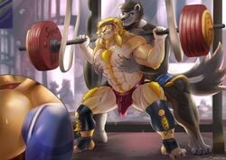 2021 2boys abs absurd_res anthro anthro_on_anthro ass barazoku barbell big_bulge big_muscles bodily_fluids body_hair bulge chest_hair clothing cutaway duo exercise felid footwear fur gay gulonine hair happy_trail hi_res inside jockstrap legwear lion male male/male male_only mammal muscular muscular_anthro muscular_male mustelid musteline nipples nodis_node pantherine pec_grasp pecs pubes reach_around squats styrling sweat tuft underwear weightlifting window wolverine workout yaoi