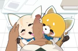 1boy 2girls aggressive_retsuko aggretsuko ailurid anthro big_penis blush bodily_fluids canid canine duo_focus erection female female_focus fennec fenneko first_person_view fox genitals gosgoz group group_sex hand_on_head hi_res humanoid_genitalia humanoid_penis kneeling licking male male/female mammal office office_lady oral penile penis penis_lick red_panda retsuko saliva sanrio sex smooth_fur threesome tongue tongue_out trio unseen_male_face vein veiny_penis