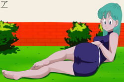 bulma briefs from dragon ball by arekusanderu
