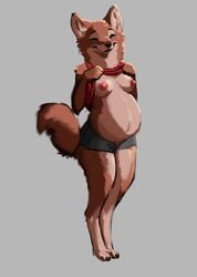 2021 anthro belly big_belly breasts canid canine canis closed_eyes clothed clothing clothing_lift domestic_dog female folvondusque grey_background hi_res mammal pregnant pregnant_female presenting presenting_belly presenting_breasts shirt shirt_lift simple_background smile solo topwear