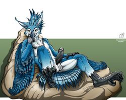 animal_genitalia animal_humanoid animal_penis anthro athletic athletic_anthro athletic_male avian avian_humanoid azurisz balls beak big_balls big_penis bird black_penis blue_body blue_feathers blue_fur claws claws_out colored digital_media_(artwork) erection feathered_diva feathered_wings feathers fur furniture genital_focus genitals green_eyes gryphon hi_res humanoid hybrid inner_ear_fluff long_ears lying lying_on_sofa male male/male mythological_avian mythology on_back on_sofa penis pose presenting shaded showing_leg showing_paws showing_penis sofa solo solo_focus tail_feathers tuft wings