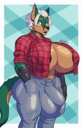 jin (jindragowolf) fan art