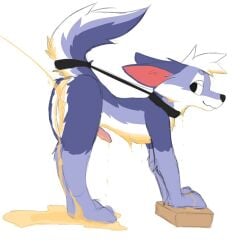 anthro bodily_fluids canid canine collar fluffy_butt fox fur genital_fluids genitals hi_res male male/male mammal peeing penis pink_ears raised_tail riko_(tidnex) solo tail tidnex urinal urination urine urine_on_ground watersports wet wet_body wet_fur