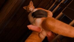 16:9 3d_(artwork) 3d_animation anal anal_sex animal_genitalia animal_penis animated anthro becoming_erect big_penis black_body black_fur bodily_fluids canid canine canine_genitalia canine_penis casual_nudity cum cum_in_ass cum_inside cum_while_penetrated digital_media_(artwork) domestic_cat duo ejaculation excessive_cum excessive_genital_fluids expansion felid feline feline_genitalia feline_penis felis frottage fur furry furry_ass furry_male furry_only gay gay_anal gay_furry gay_male gay_sex genital_fluids genitals growth hands-free huge_filesize inflation kaitzuwu knot knotting long_playtime looking_at_viewer male male/male male_only male_penetrated male_penetrating male_penetrating_anthro male_penetrating_male mammal multiple_orgasms mythological_canine mythological_creature mythology no_sound orange_body orange_fur orgasm penetration penile penis penises_touching prison prison_bars prison_cell pull_out sex size_difference smaller_penetrated spiked_penis spikes spikes_(anatomy) stomach_bulge tabby_cat tagme video werecanid werecanine werecreature werewolf widescreen