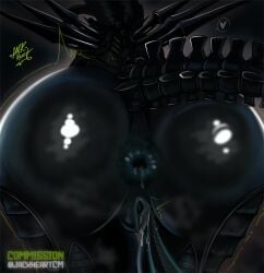 1girls 2026 2d alien alien_(franchise) alien_girl alien_only anal anal_beads anal_focus anal_sex anus anus_peek ass big_anus big_ass big_booty big_booty_(female) big_butt big_legs black_body black_skin booty booty_shorts booty_shot commission commission_art commissions_open cum cum_in_pussy cum_inside cumshot drone female_only female_xenomorph first_person_view fucking furry horny horny_female jackheart jackheart_comic jackheartcm killer leg milf mommy monster monster_girl monster_rape no_ai no_human no_humans pussy segs sexy solo solo_female sweat sweating sweating_ass tail thicc thick thick_anus thick_ass thick_butt thick_legs thick_tail thick_thighs touching_ass touching_pussy touching_self waiting waiting_for_cum waiting_for_sex waiting_for_turn xenomorph xenomorph_queen xenomorph_tail