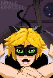 1boy 1futa adrien_agreste animated cat_ears cat_noir cat_tail catboy cum_in_mouth fellatio flaccid_penis futanari futanari/male gay marinette_cheng marinette_dupain-cheng miraculous_ladybug oral penis post_orgasm pov swallowing swallowing_cum