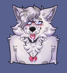 anthro blush bodily_fluids canid canine canis cum cum_in_mouth cum_inside cum_on_face eyewear genital_fluids gillygoyle heart male mammal nipples oral solo stewie_(stewiesleeps) tongue tongue_out wolf