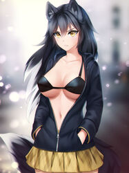 big_breasts black_hair female female_focus female_only gigamessy hands_in_pockets hoodie oc original_character short_skirt solo tagme unzipped unzipped_jacket white_highlights wolf_ears wolf_girl wolf_tail yellow_eyes