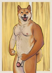 2018 anthro asraitheome balls canid canine canis domestic_dog genitals glans humanoid_genitalia humanoid_penis male mammal navel nipples nude open_mouth penis shiba_inu simple_background solo spitz standing whiskers