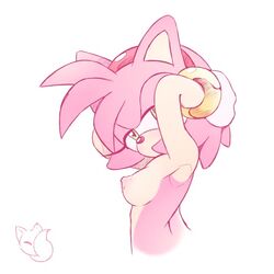 1girls amy_rose female furry pink_fur pink_hair reddishfox_(artist) small_breasts solo sonic_(series) sonic_the_hedgehog_(series)