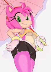 amy rose from sonic (series) by michiyoshi