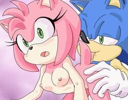 amy_rose anthro pink_fur pink_hair randomguy999 small_breasts sonic_(series) sonic_the_hedgehog surprised