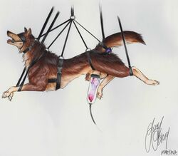 1boy 2019 anal anatomically_correct anatomically_correct_genitalia anatomically_correct_penis animal_genitalia animal_penis bit_gag blindfold bondage bondage_gear bound brown_body brown_fur buckle canid canine canine_penis canis collar colored_pencil_(artwork) digitigrade feral fur furry gag genitals harness karn_(karn_the_wolf) machine male mammal marypup milking_machine overstimulation penetration penile penis penis_milking penis_pump sex_toy sex_toy_in_ass sex_toy_insertion simple_background solo suspended_in_midair suspension suspension_bondage traditional_media_(artwork) vibrator vibrator_in_ass white_background wolf