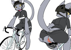 2021 absurd_res anthro armor bicycle bicycle_helmet clothed clothing clothing_aside domestic_cat felid feline felis female front_view fully_clothed fur genitals grey_body grey_fur headgear helmet hi_res kemokin_mania mammal panties panties_aside partially_clothed presenting presenting_pussy pussy rear_view solo spread_pussy spreading torn_clothing underwear underwear_aside