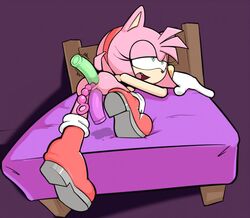 amy_rose anal anal_beads dildo double_anal furry hedgehog multiple_anal_insertions pink_fur pink_hair sex_toy small_breasts sonic_(series) vibrator