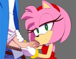 1boy 1girls amy_rose animated artist_request blowjob censored deepthroat fellatio female flat_chest flat_chested furry gif human light-skinned_male male pink_fur pink_hair sonic_(series) sonic_man source_request