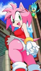 amy_rose ass big_butt chaos_emerald female flicky furry panties pantyshot pink_fur pink_hair sonic_(series) sonic_adventure station_square underwear upskirt watatanza