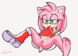 1girls amy_rose female flat_chest flat_chested furry hedgehog no_panties pink_fur pink_hair redmatzoo solo sonic_(series) upskirt