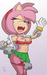 amy_rose crying furry grope molestation pink_fur pink_hair rape school_uniform schoolgirl sonic_(series) sonic_the_hedgehog_(series) strip tears the_other_half