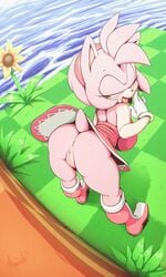 1girls amy_rose anthro anus argento ass ass_focus bedroom_eyes bent_over big_ass big_breasts big_butt bimbo boots bottomless breasts bubble_ass bubble_butt butt_focus dat_ass dress dutch_angle eulipotyphlan female female_only footwear fur furry furry_only genitals green_eyes handwear hedgehog hi_res highres innie_pussy large_breasts looking_back mammal narrowed_eyes no_panties no_underwear outdoors partially_clothed pink_body pink_fur pink_hair presenting presenting_anus presenting_hindquarters presenting_pussy pussy seductive smile solo solo_female sonic_(series) sonic_the_hedgehog_(series) tail thick_ass thick_thighs tongue tongue_out topwear upskirt water