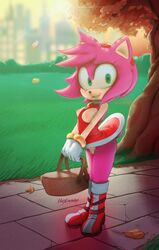 amy rose from sonic (series) by hexanne